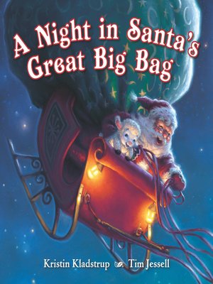 cover image of A Night in Santa's Great Big Bag